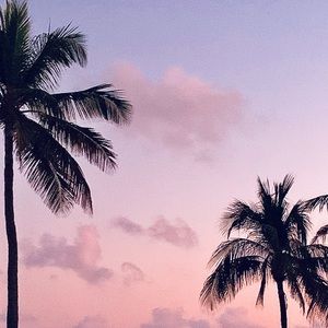 Meet your Posher, Caitlin